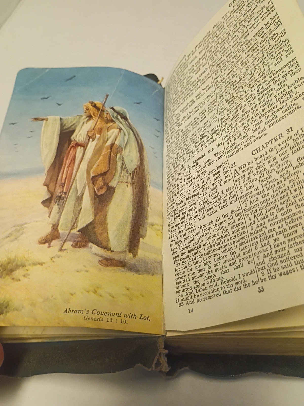 COLLINS Holy Bible- Illustrated -Vintage Black – Pocket Size