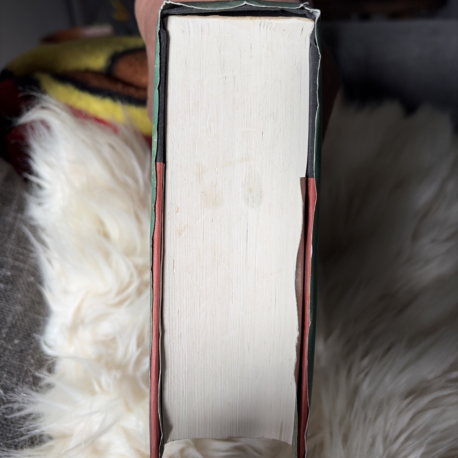 Harry Potter Goblet of Fire True 1st Edition 1st Print Errors Pg 291 & 667 RARE