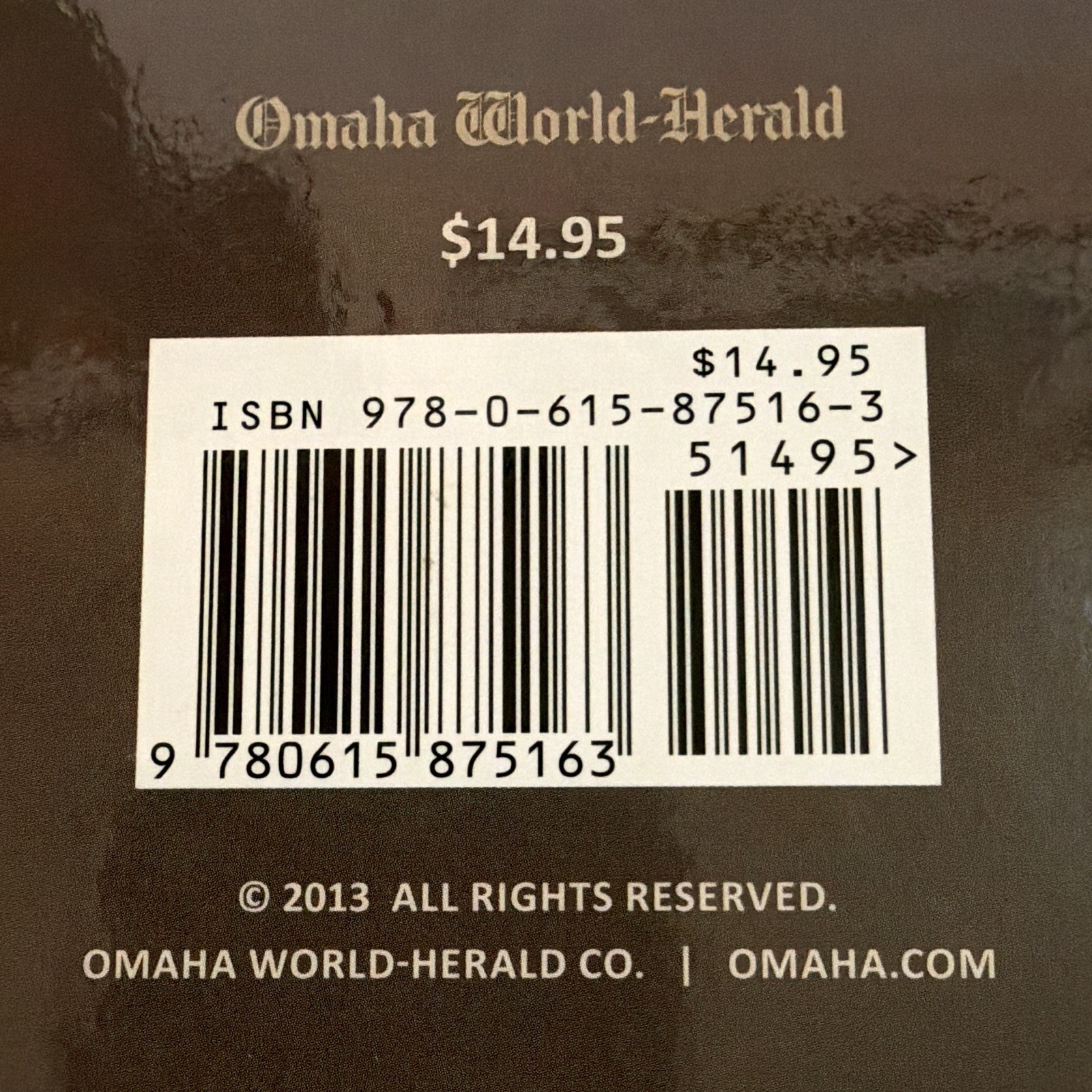 Omaha World-Herald The Littlest Lion Lion Cubs of Henry Doorly Zoo HC 2013 Illus
