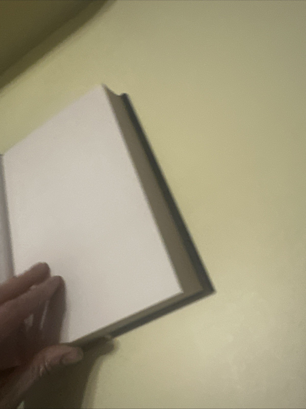 2025 FIRST EDITION FLASHLIGHT SIGNED BY SUSAN CHOI HC COLLECTIBLE BOOK JJ