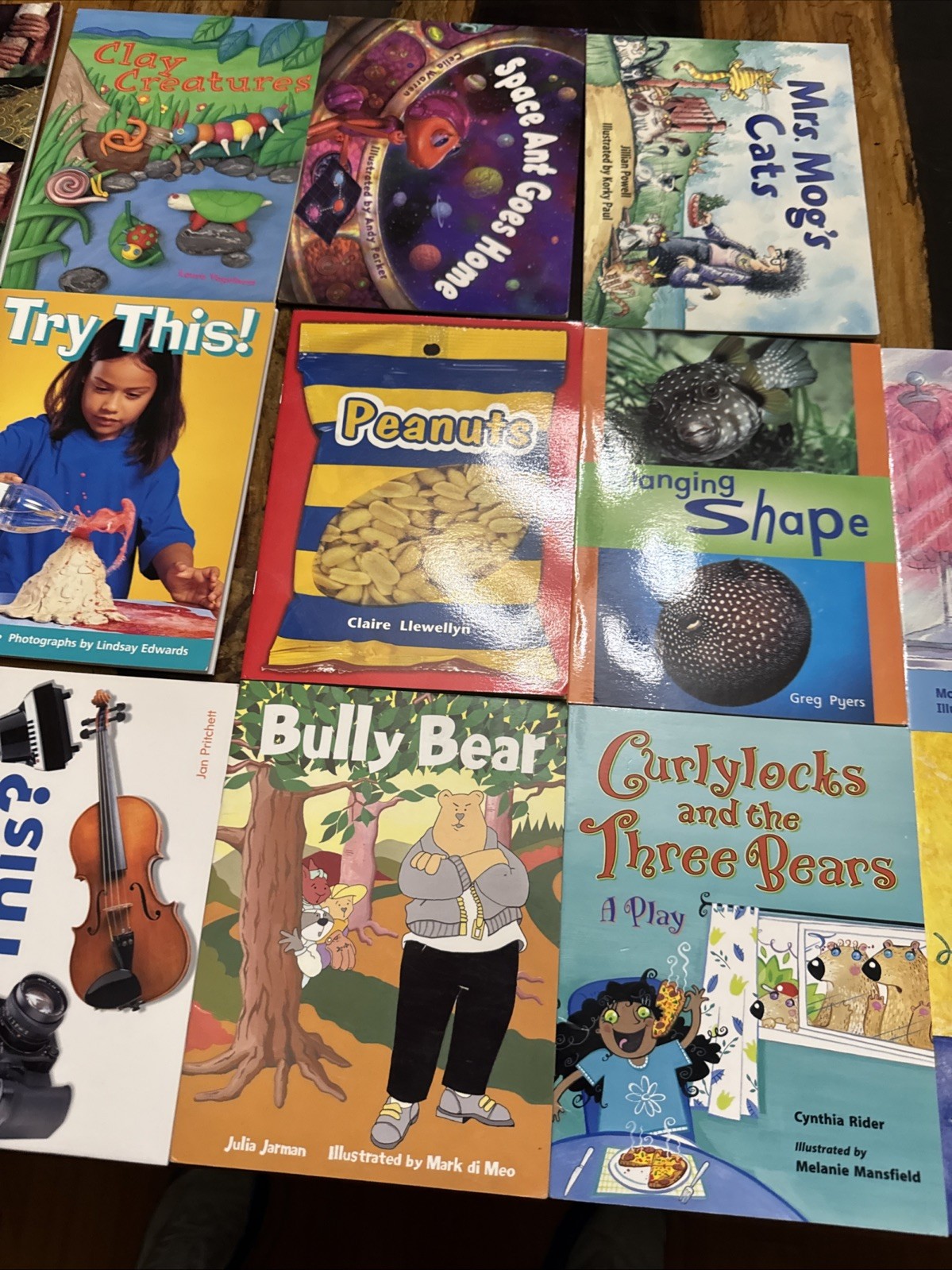 Lot of 14 Rigby Literacy Levels 8-9 Readers-Homeschool