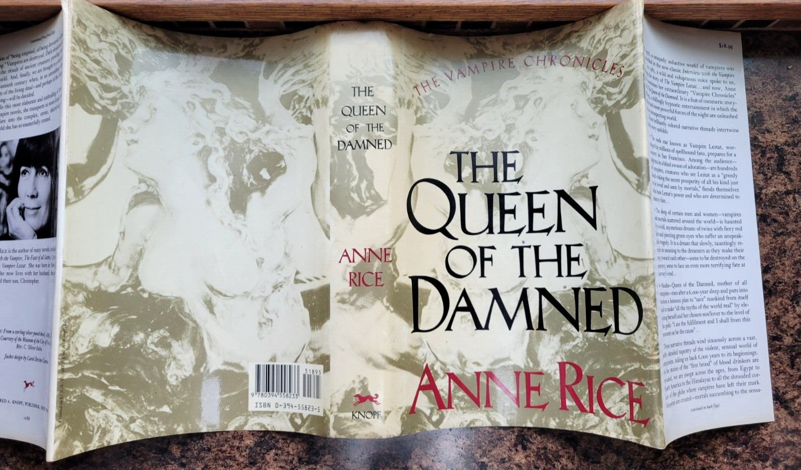 Vampire Chronicles Ser: The Queen of the Damned by Anne Rice (1988, Hardcover)