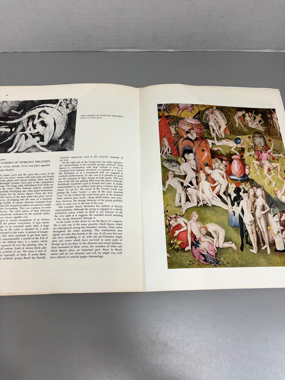 Hieronymus Bosch Lotte Brand Philip 1969 Portfolio Edition Art Abrams