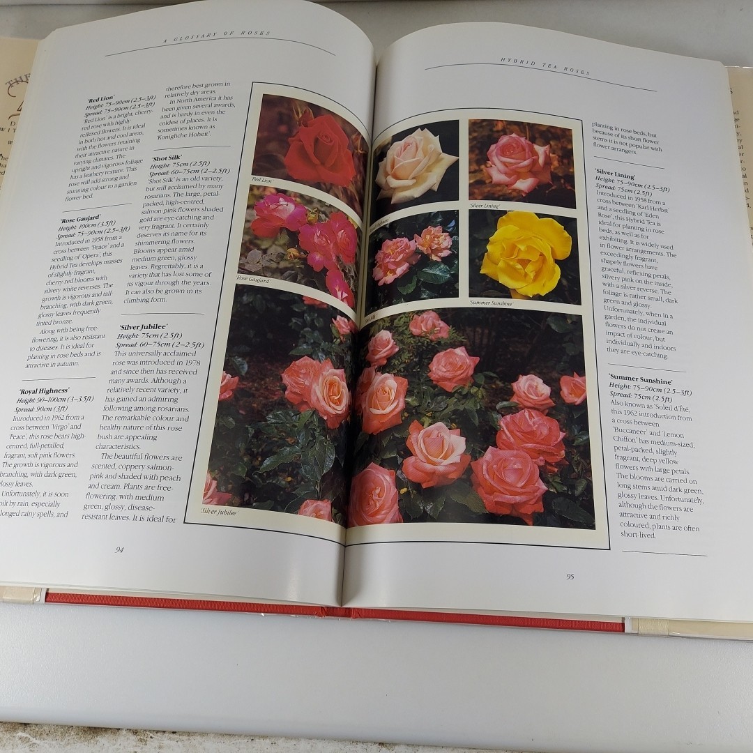 The Book of the Rose David Squire 1991 Crescent Books 1st Print Illustrated HCDJ