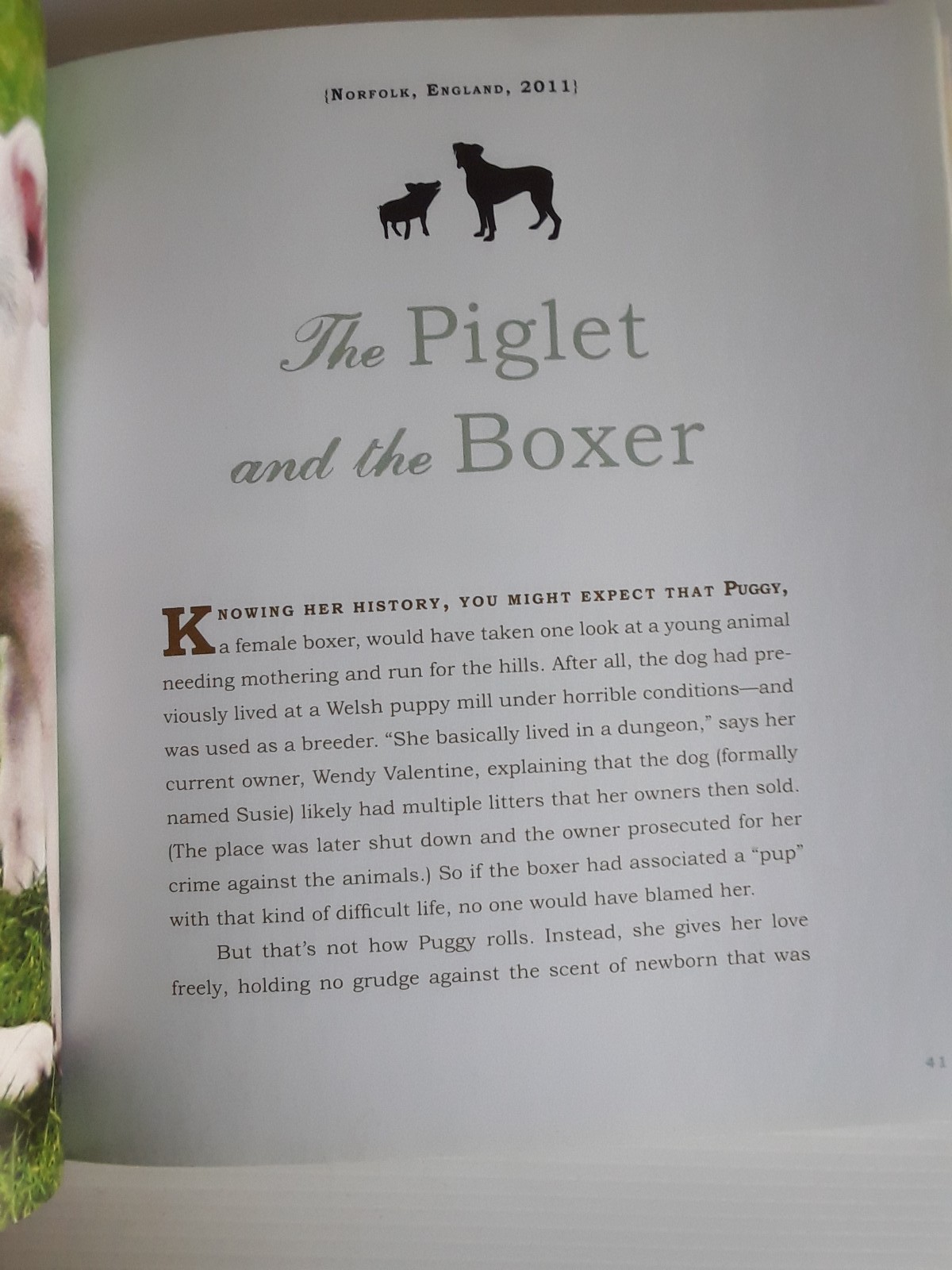 Unlikely Loves By Jennifer S. Holland 43 Heartwarming True Stories Animals Pets