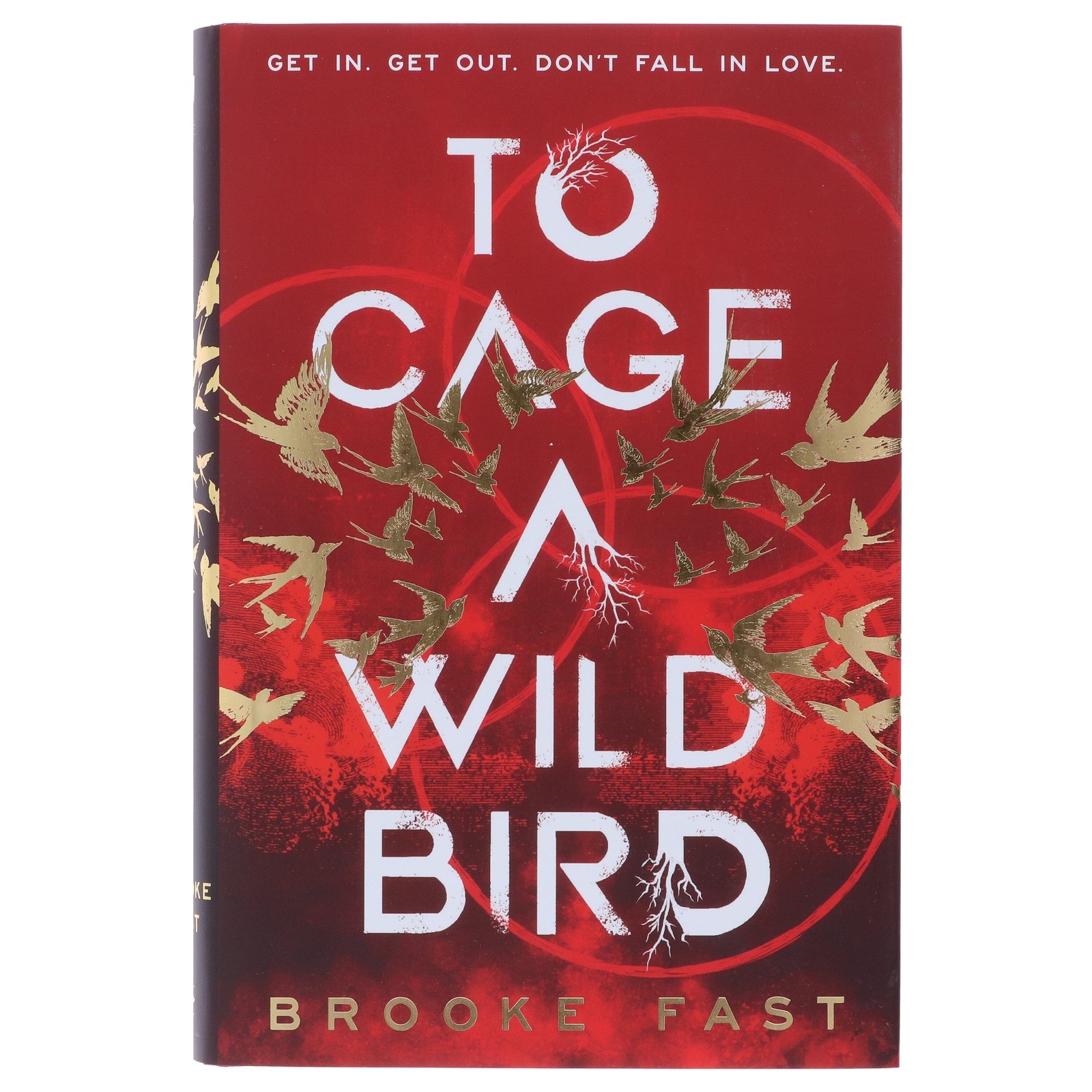 To Cage a Wild Bird by Brooke Fast (Divided Fates Series)- Fiction – Hardback