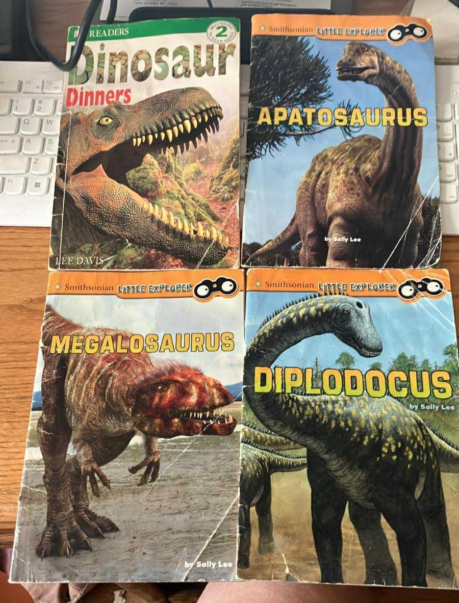 Lot of 4 Dinosaurs Books – Smithsonian & DK Readers K9