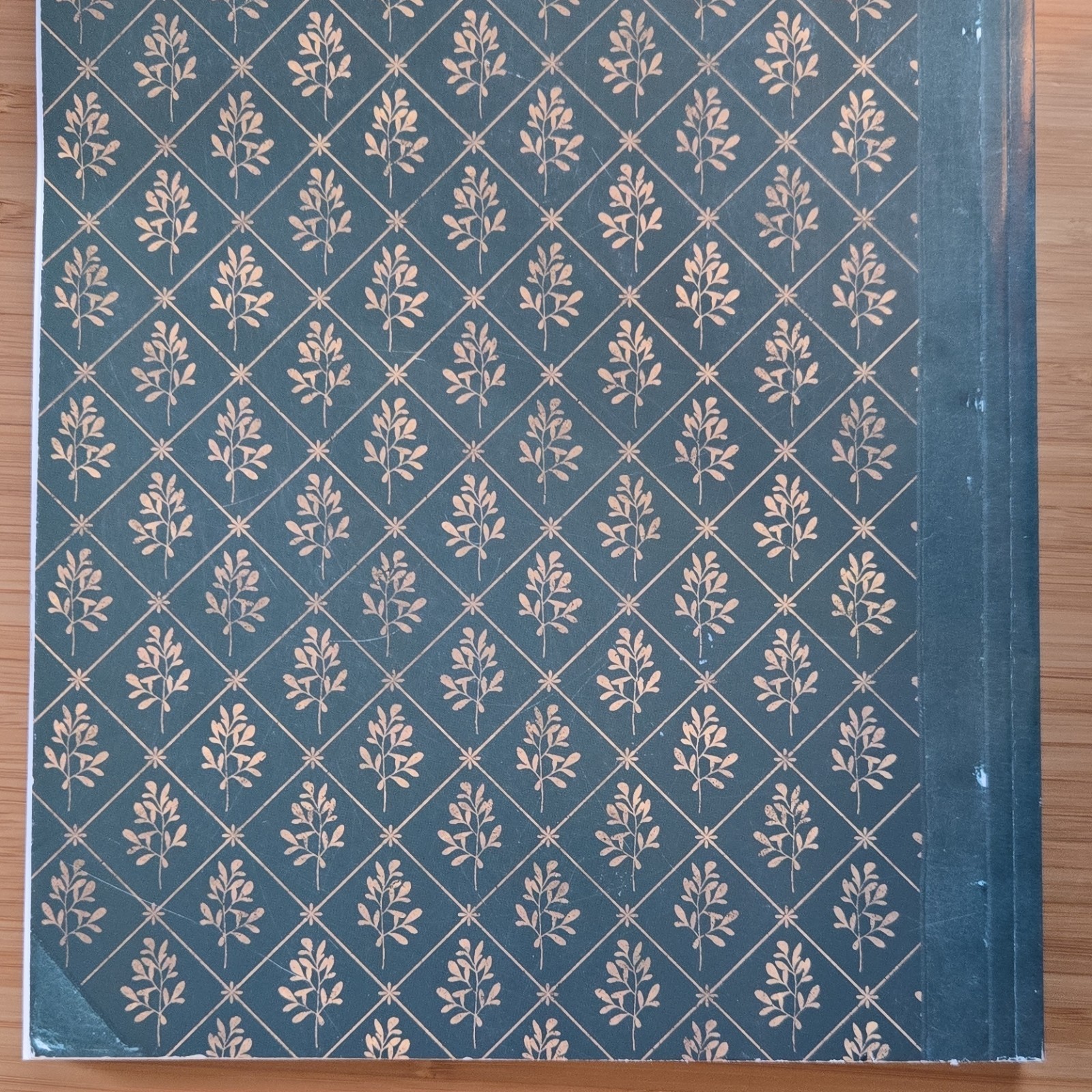 The Lost Book of Remedies Hardcover by Claude Davis Remedies Health Nonfiction