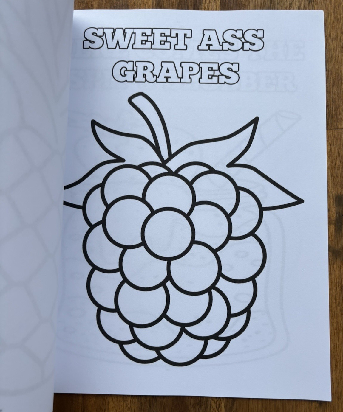 Shit For Old People To Color Funny Adult Coloring Book ~ Over the Hill Joke Gift