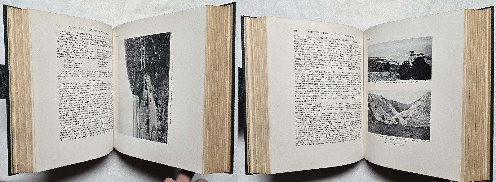 1936 SIGNED Robert Cushman Murphy OCEANIC BIRDS OF SOUTH AMERICA Ornithology