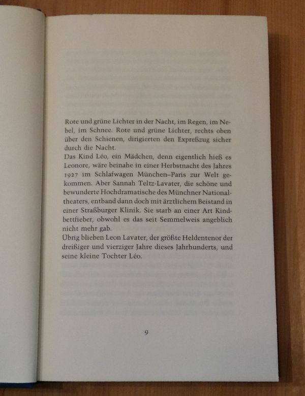 Domino Roman Alix du Frenes R. Piper & Co. Publisher Munich 1979 283 Pages