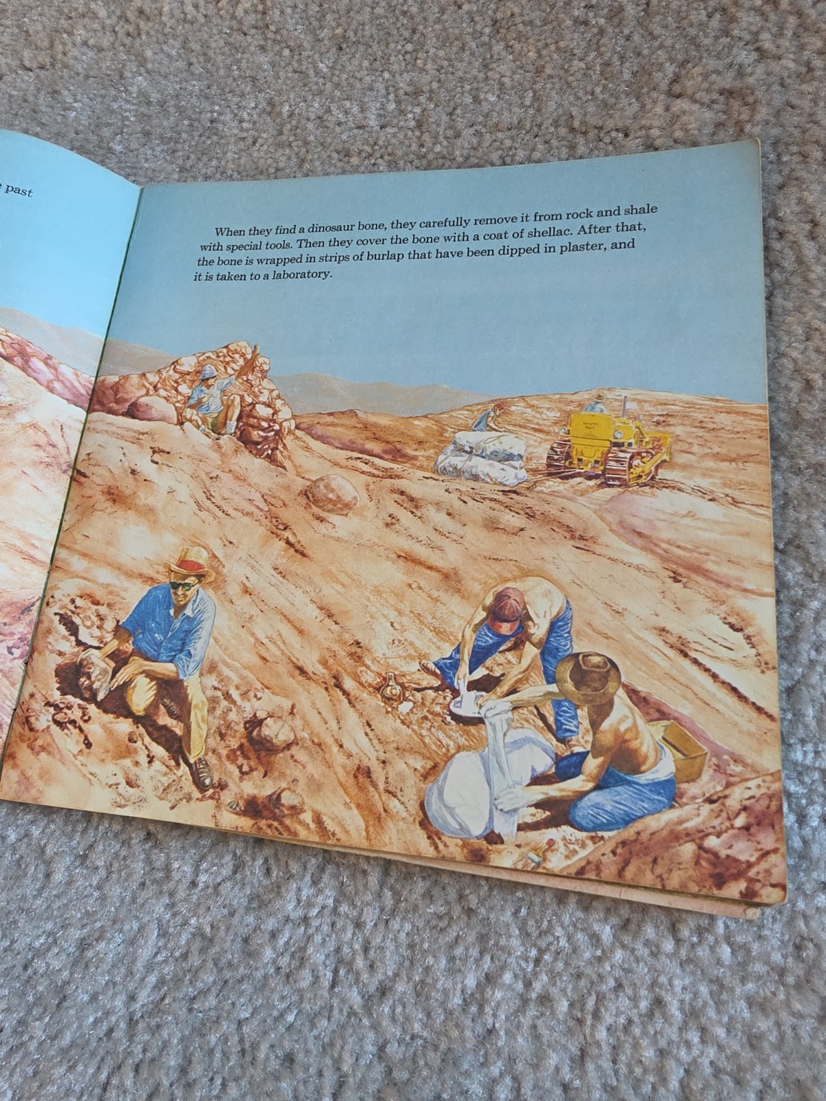 Random House Dinosaurs Book Kids Multi Vintage 1977 Peter Zallinger