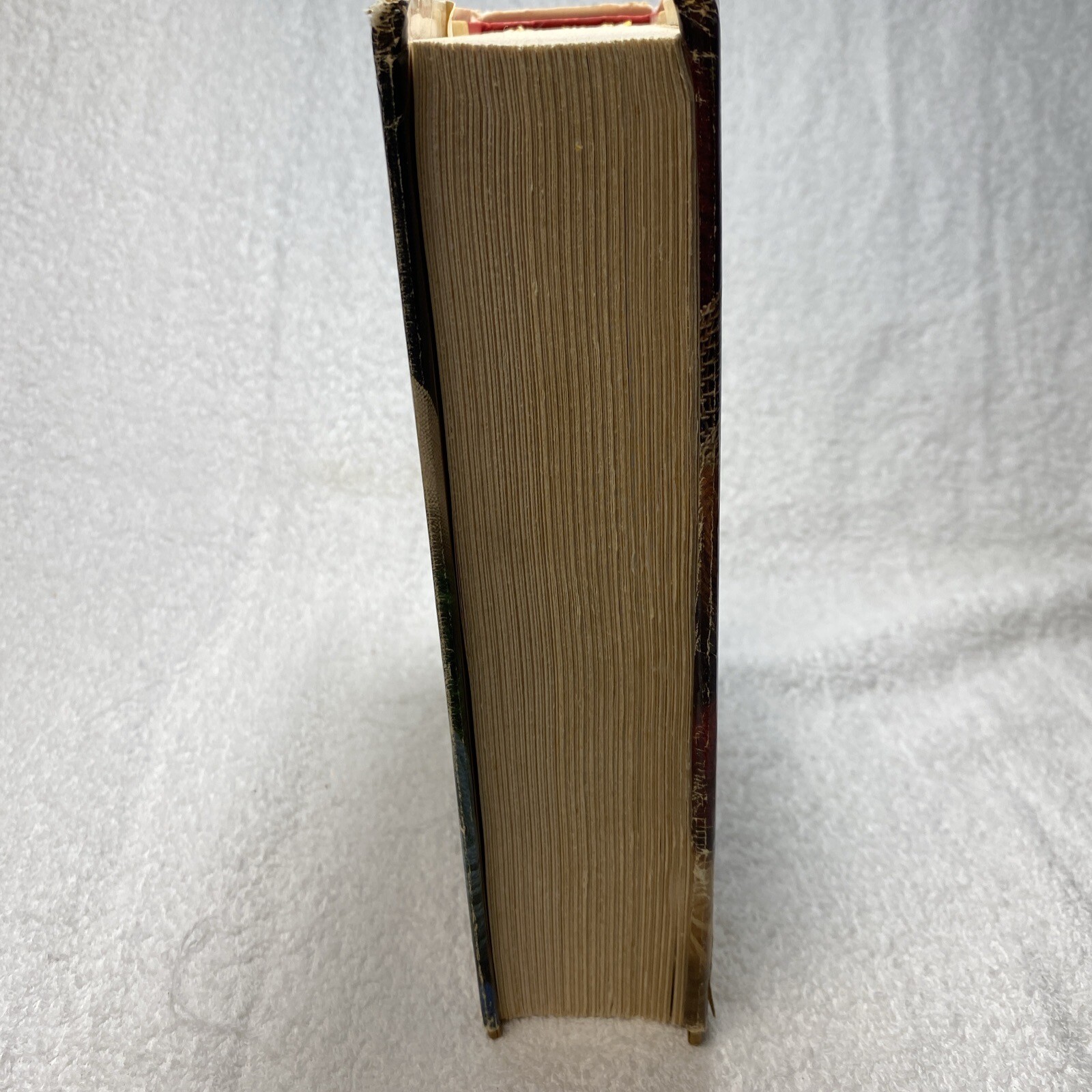 Vintage The Complete Encyclopedia of Stitchery by Mildred Graves Ryan 1979 HC DJ
