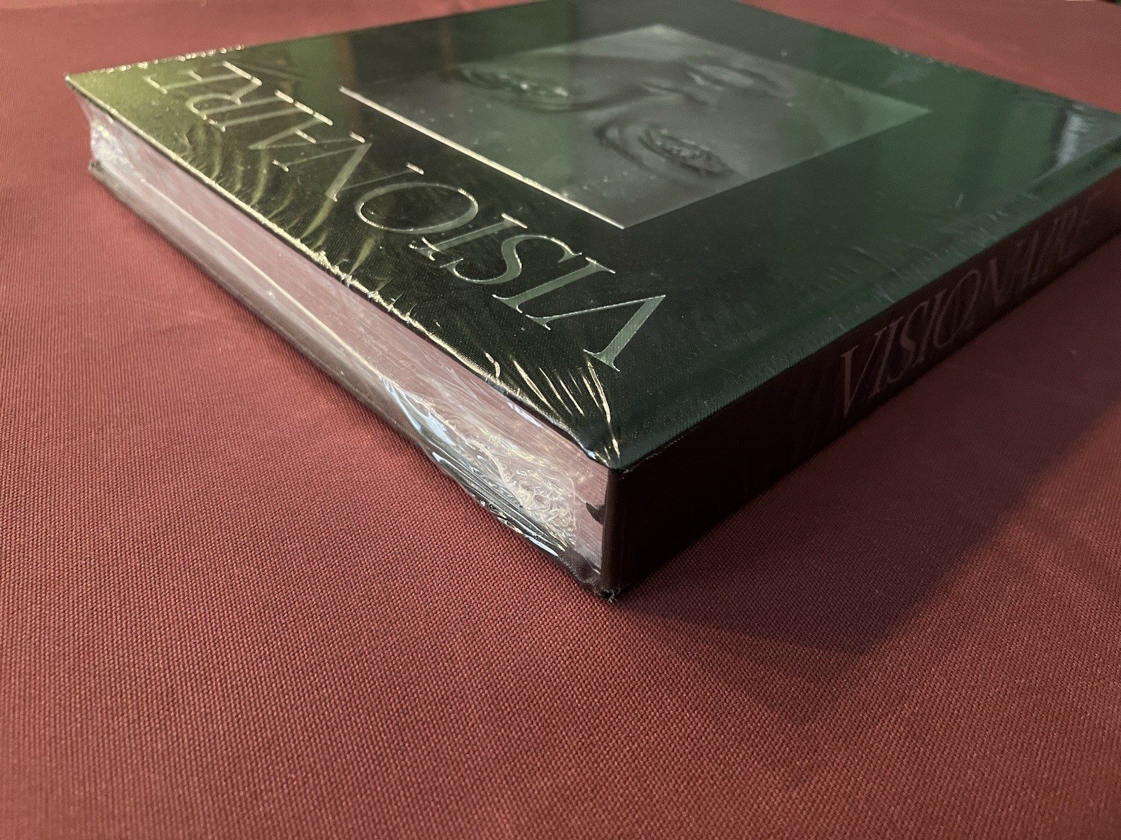 Visionaire Experiences in Art and Fashion (James Kaliardos Cecilia Dean) NWT OOP