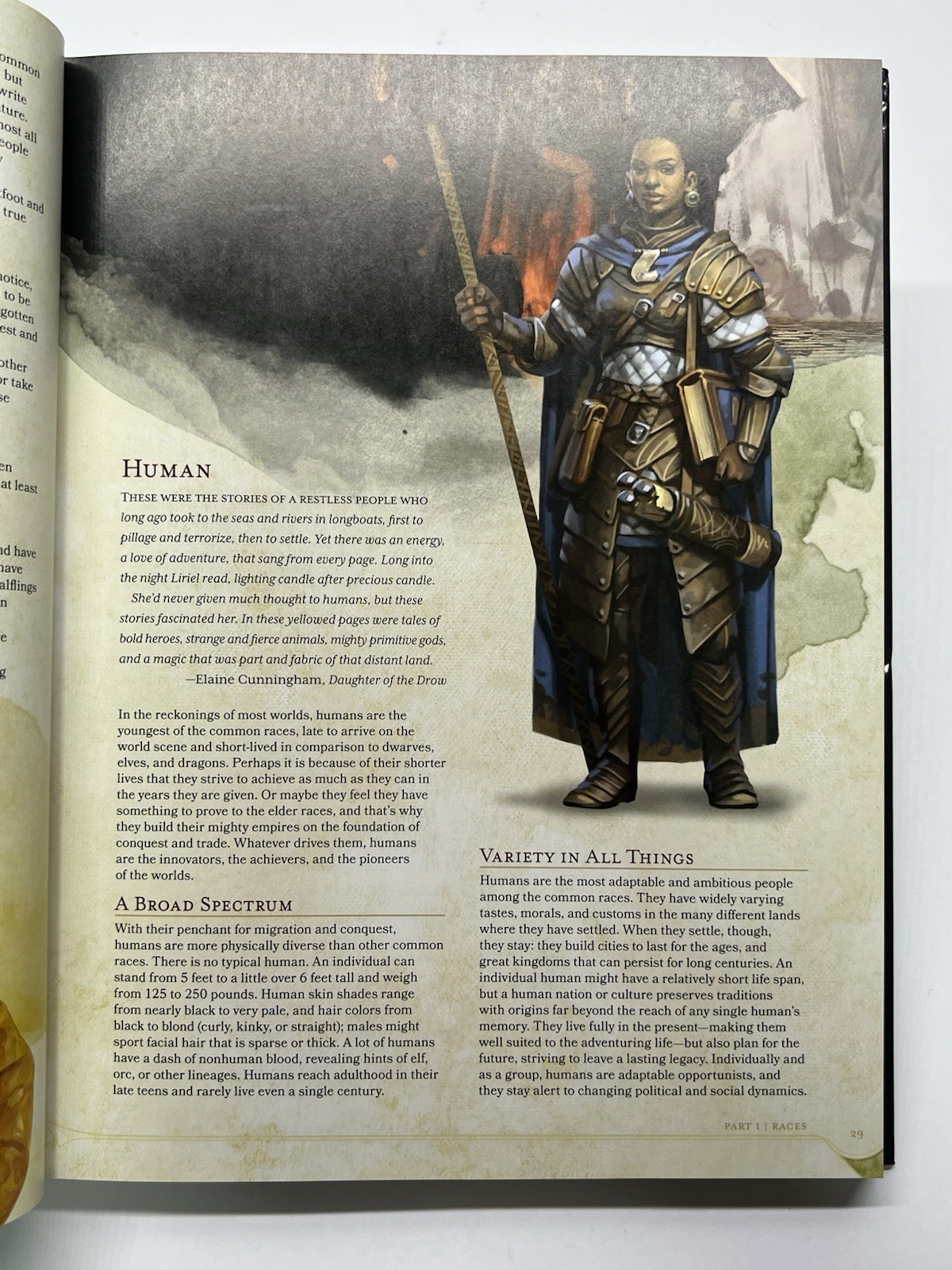 D&D 2014 Player’s Handbook (Dungeons & Dragons Core Rulebook)