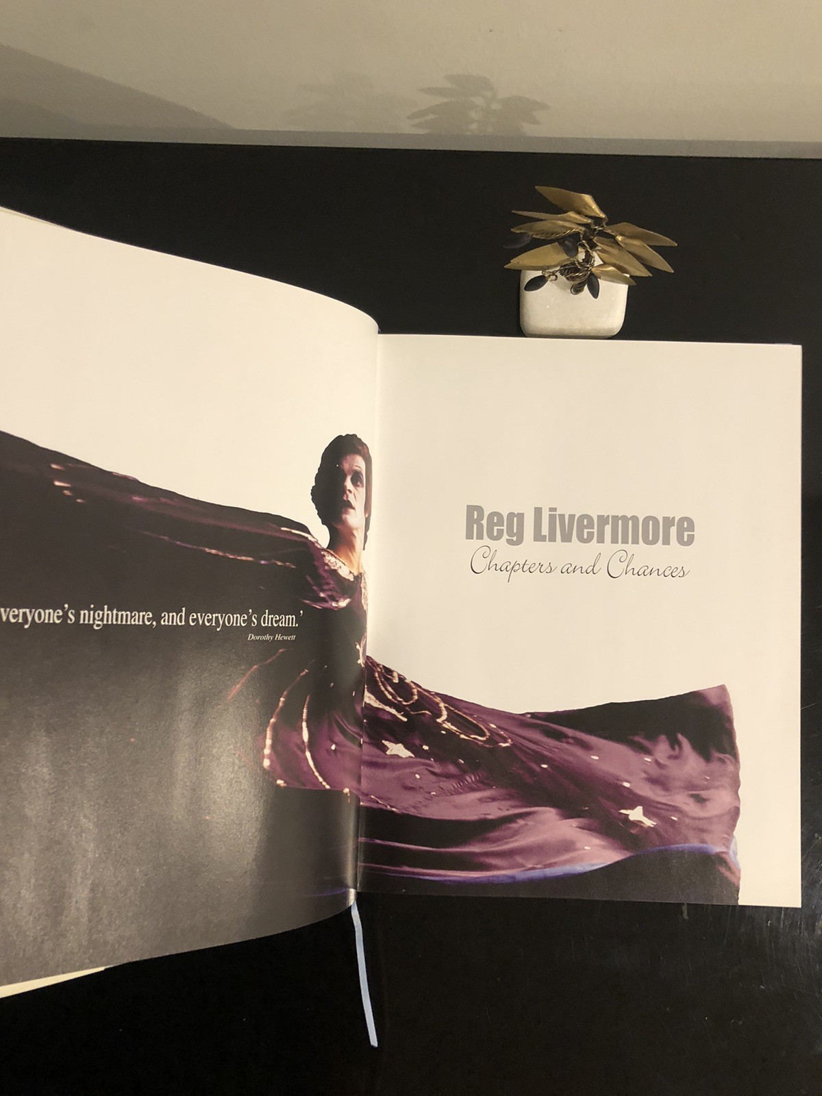 Reg Livermore Chapters And Chances H G B 2003 First Ed/F.Print HC DJ LN 🇦🇺🎭