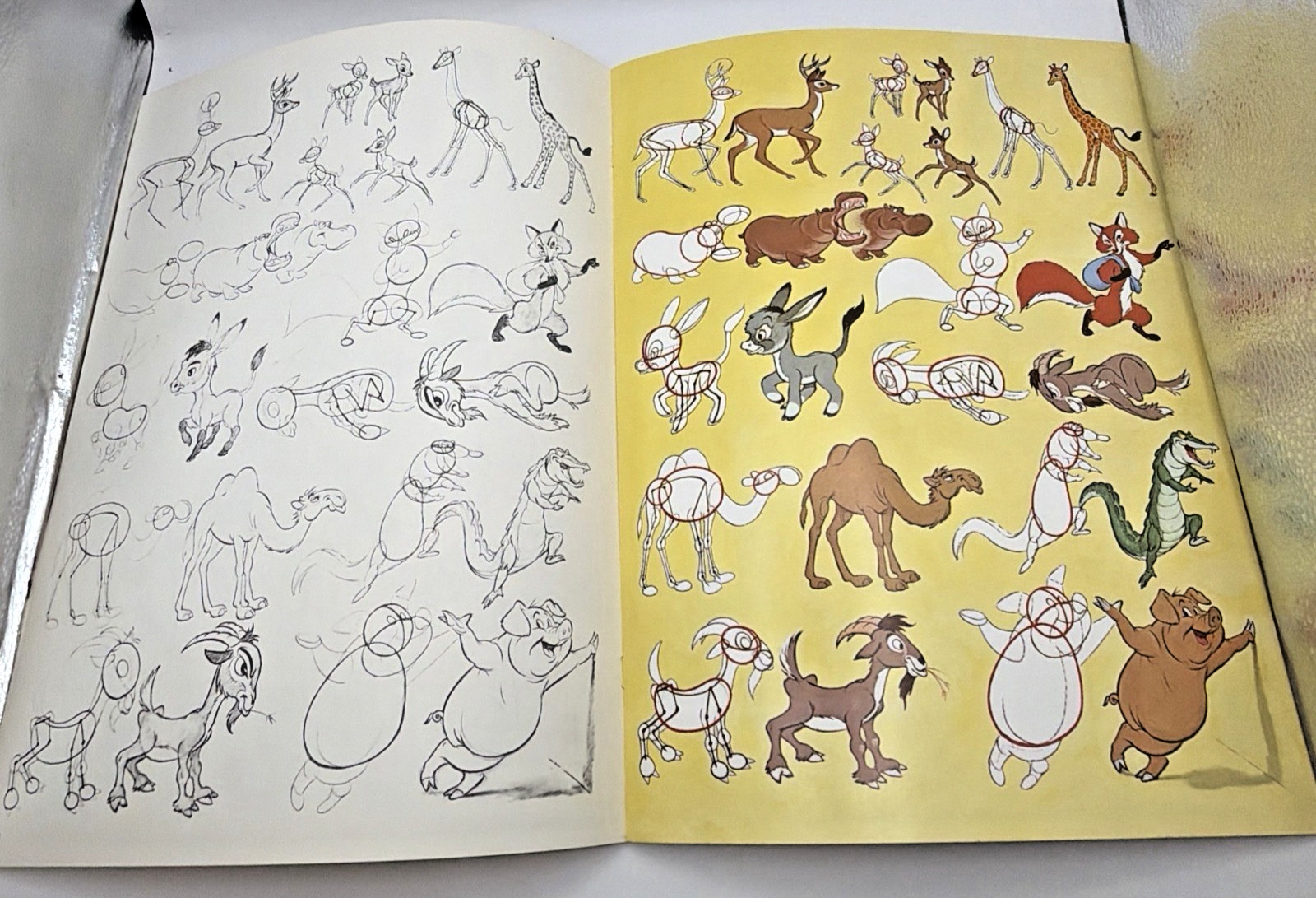 Animation & Modern Cartoon By Preston Blair Published By Walter T Foster Vintage
