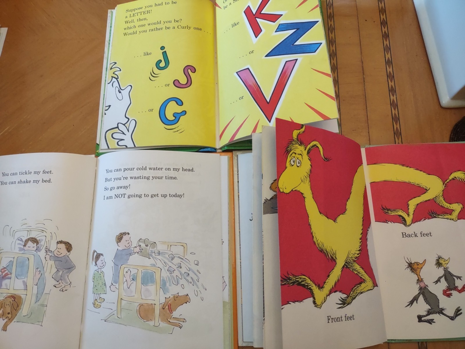 Lot of 10 Dr Suess Books Bullfrog, Foot, Get Up, ABC, Go Dog, Green Eggs, Mother