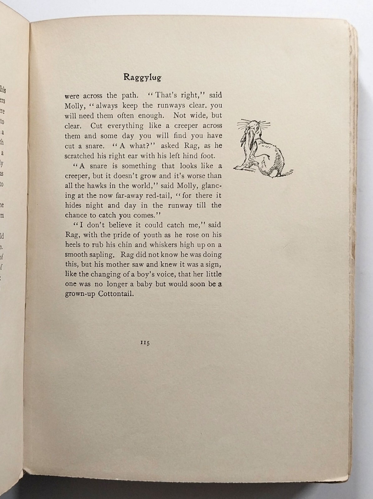 Wild Animals I Have Known by Ernest Thompson Seton HC 20th Impression 1906