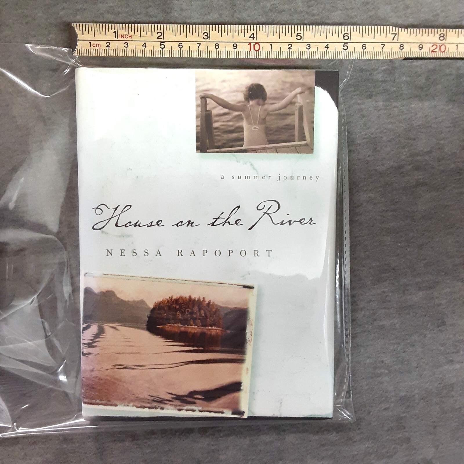 House on the Rivery by Nessa Rapoport A Summer Journey Pre-Owned 2004 159 pages