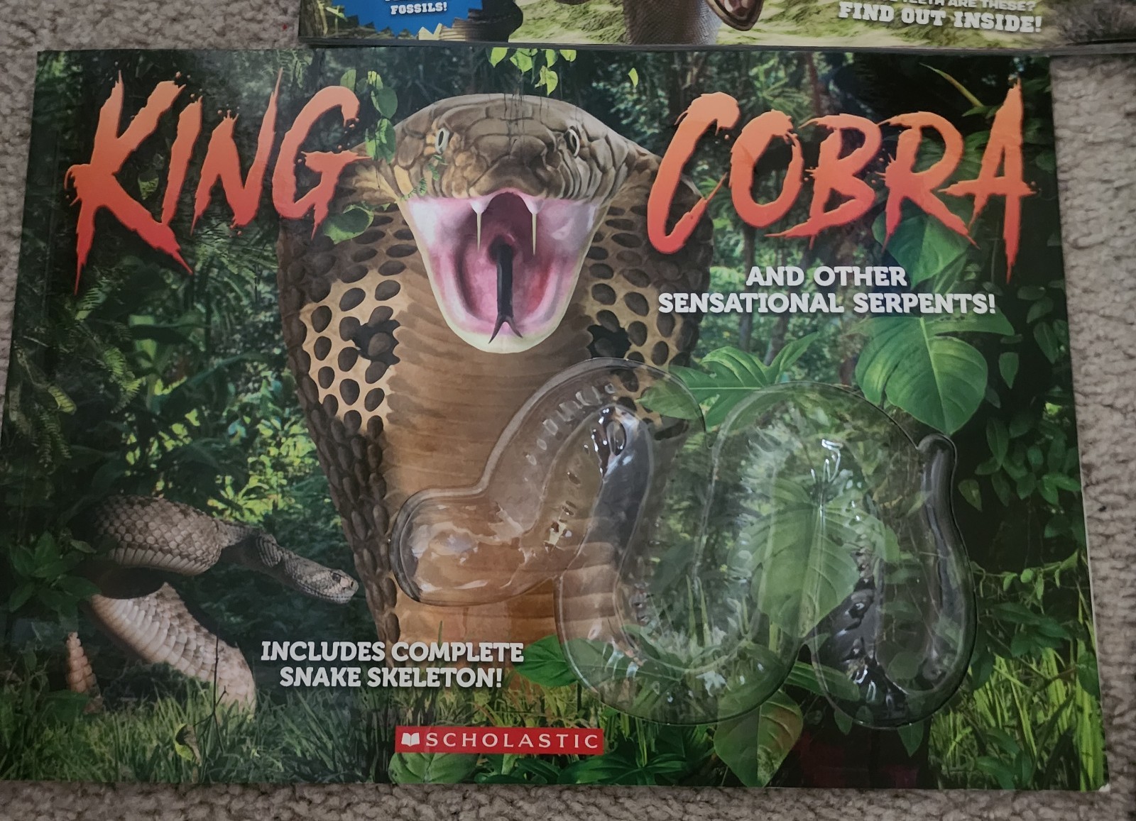 Dinosaur, King Cobra, Ocean And Gold 4 Books With No Toy Explore Educational