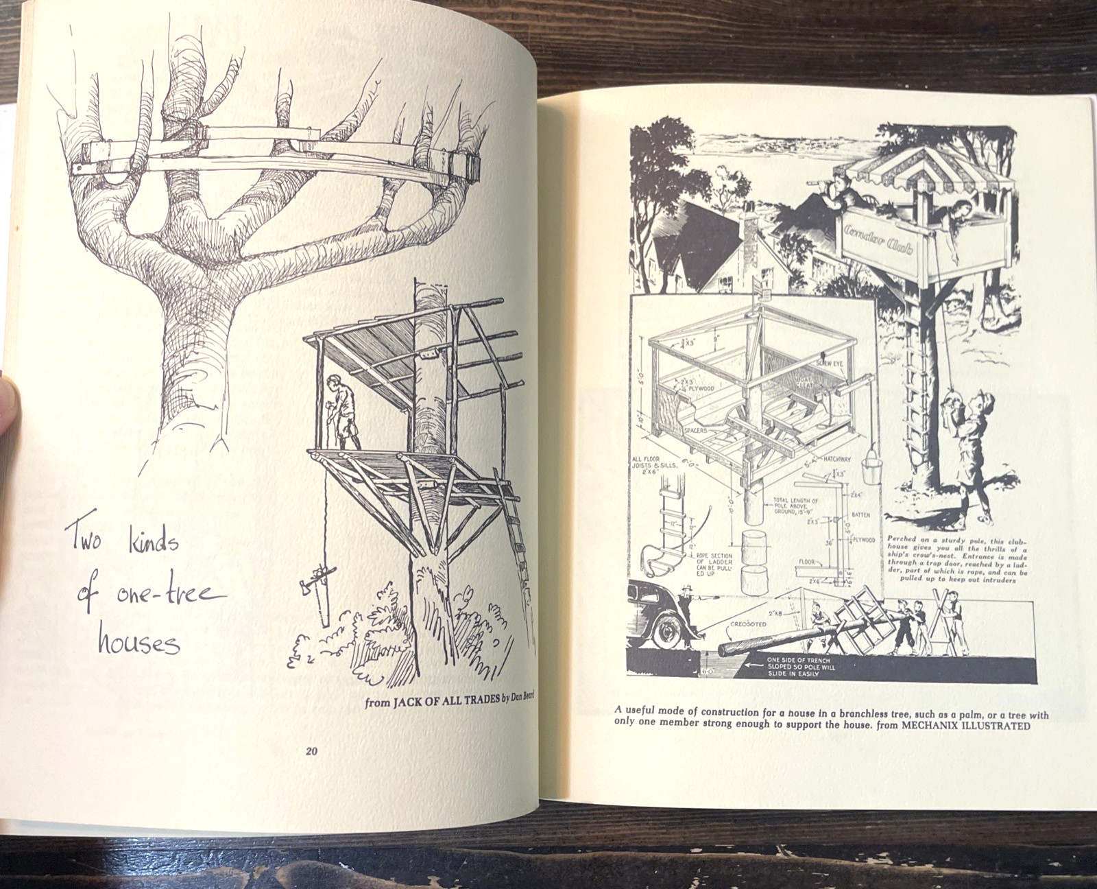 Tree Houses (1975) Green Tiger Press 1st Ed PB Illustrated Arboreal Architecture