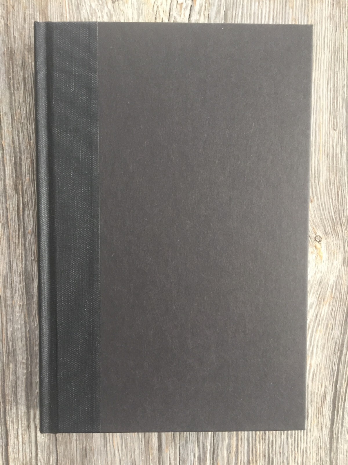 BROTHER TERMITE by Patricia Anthony (1993, Hardcover) -1st ed.
