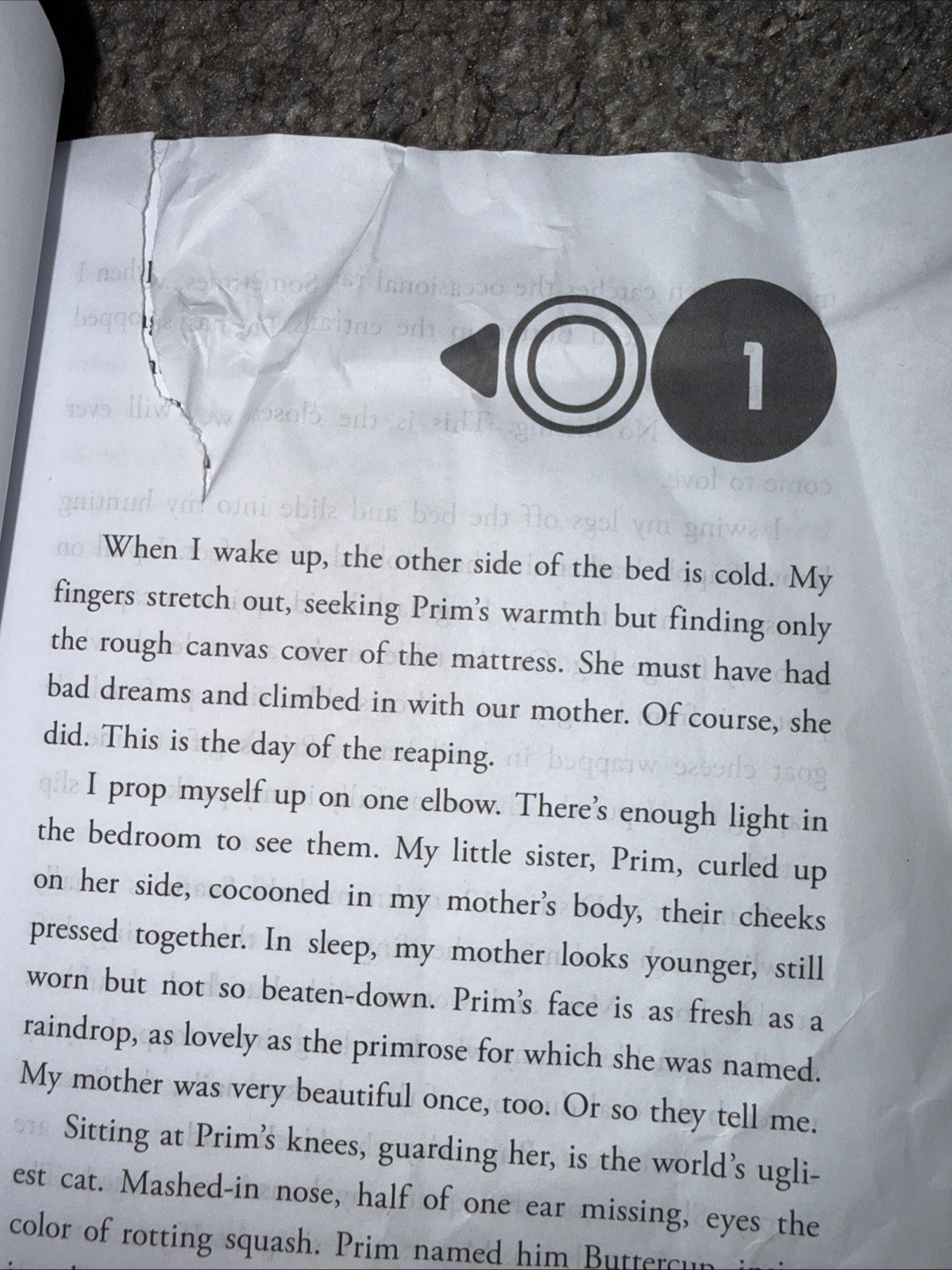 Hunger Games Trilogy: Propaganda Edition Suzanne Collins Neon Scholastic *READ*