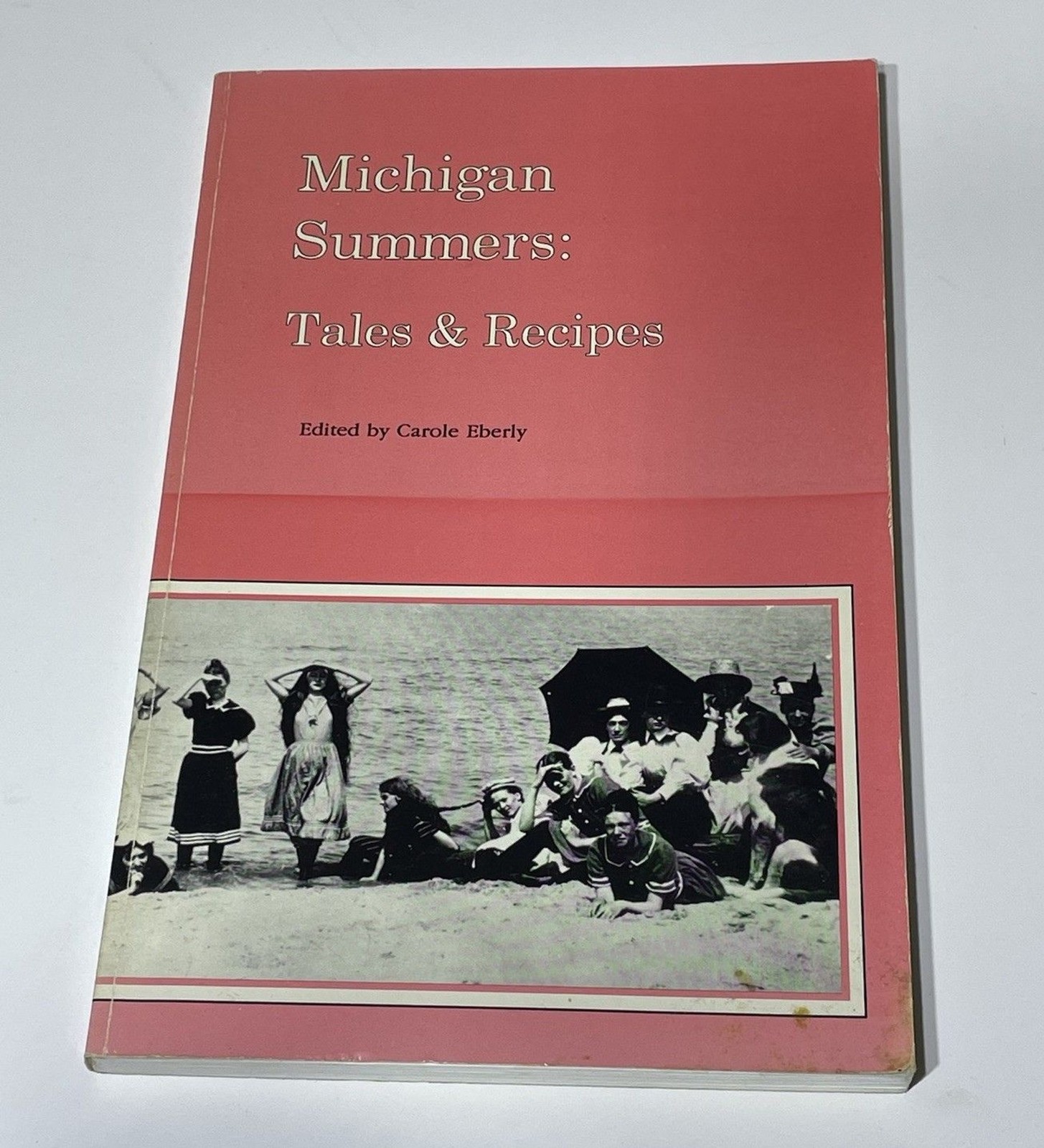 1990 Vintage Michigan Summers : Tales and Recipes by Carole Eberly