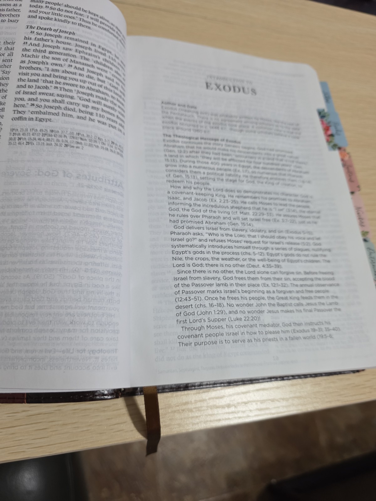 ESV Systematic Theology Study Bible (TruTone, Brown/Cordovan, Portfolio Design)