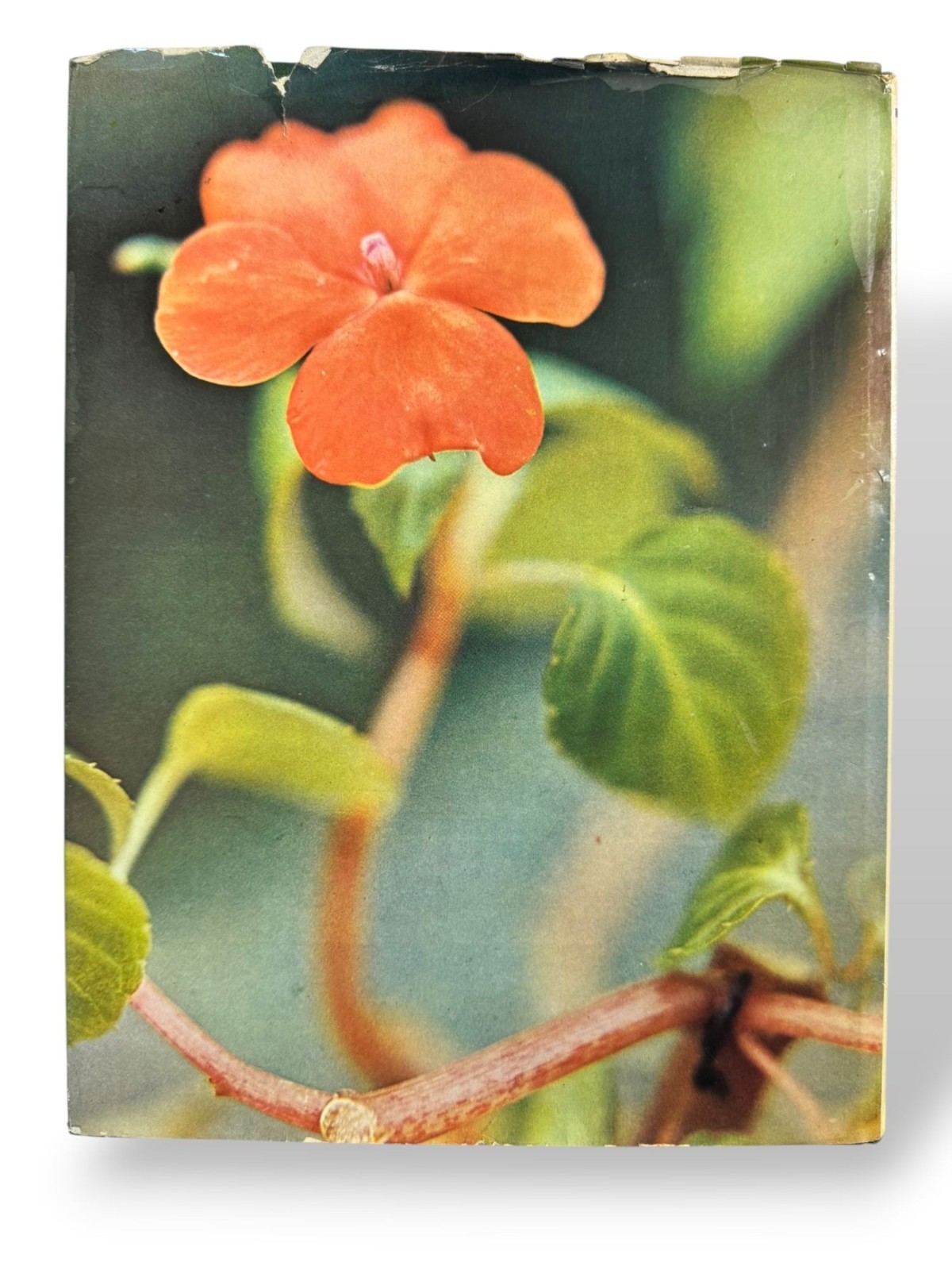 Plants & Flowers Vintage Gardening Hardcover Book W/Dust Jacket – 1974
