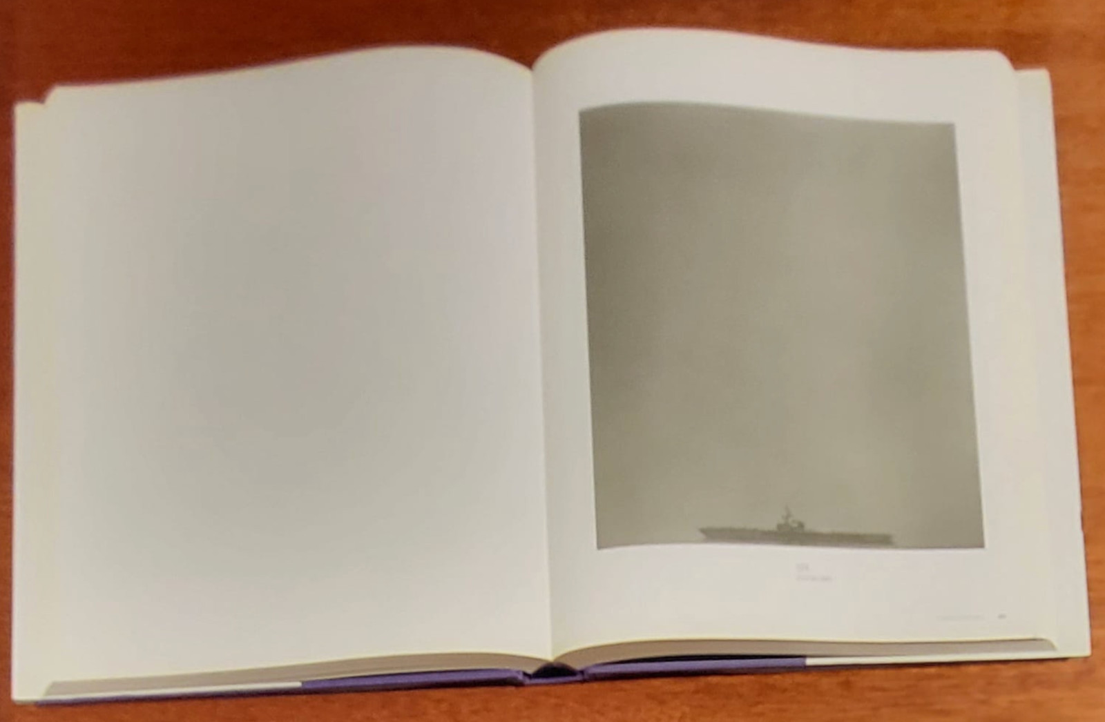 Robert Mapplethorpe The Photographs