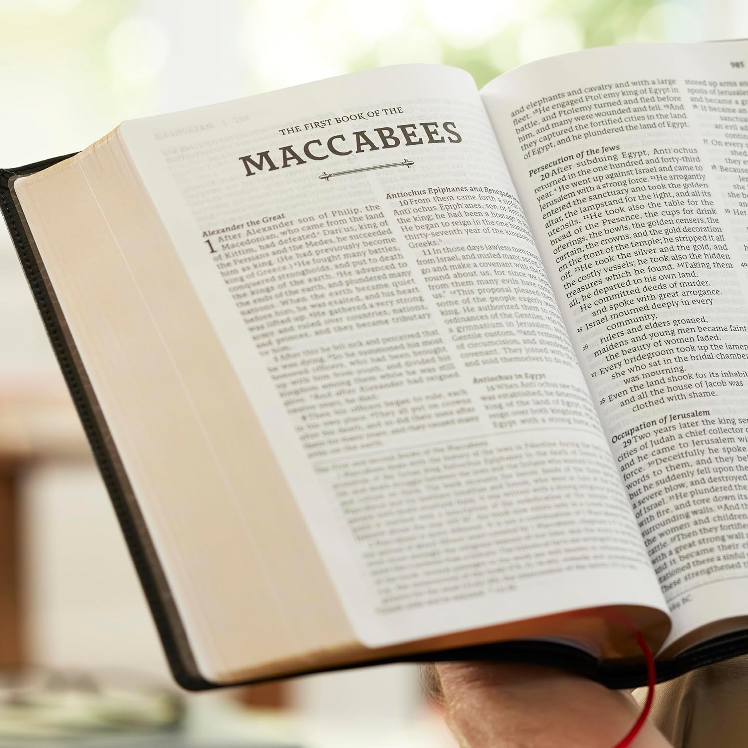 RSV2CE, Thinline Large Print Catholic Bible, Brown Leathersoft, Comfort Print