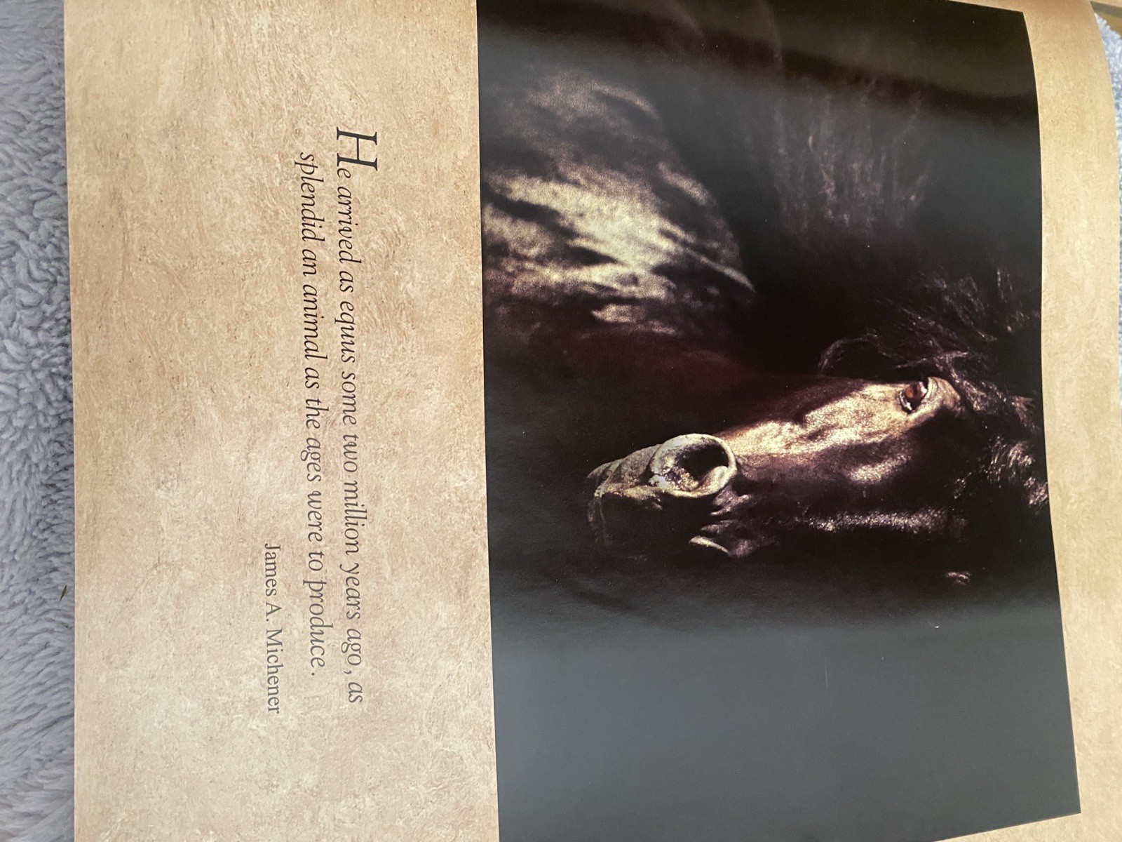 Vavra’s Vision – Equine Images – 2007 Hardcover – SIGNED/Inscribed – HC DJ
