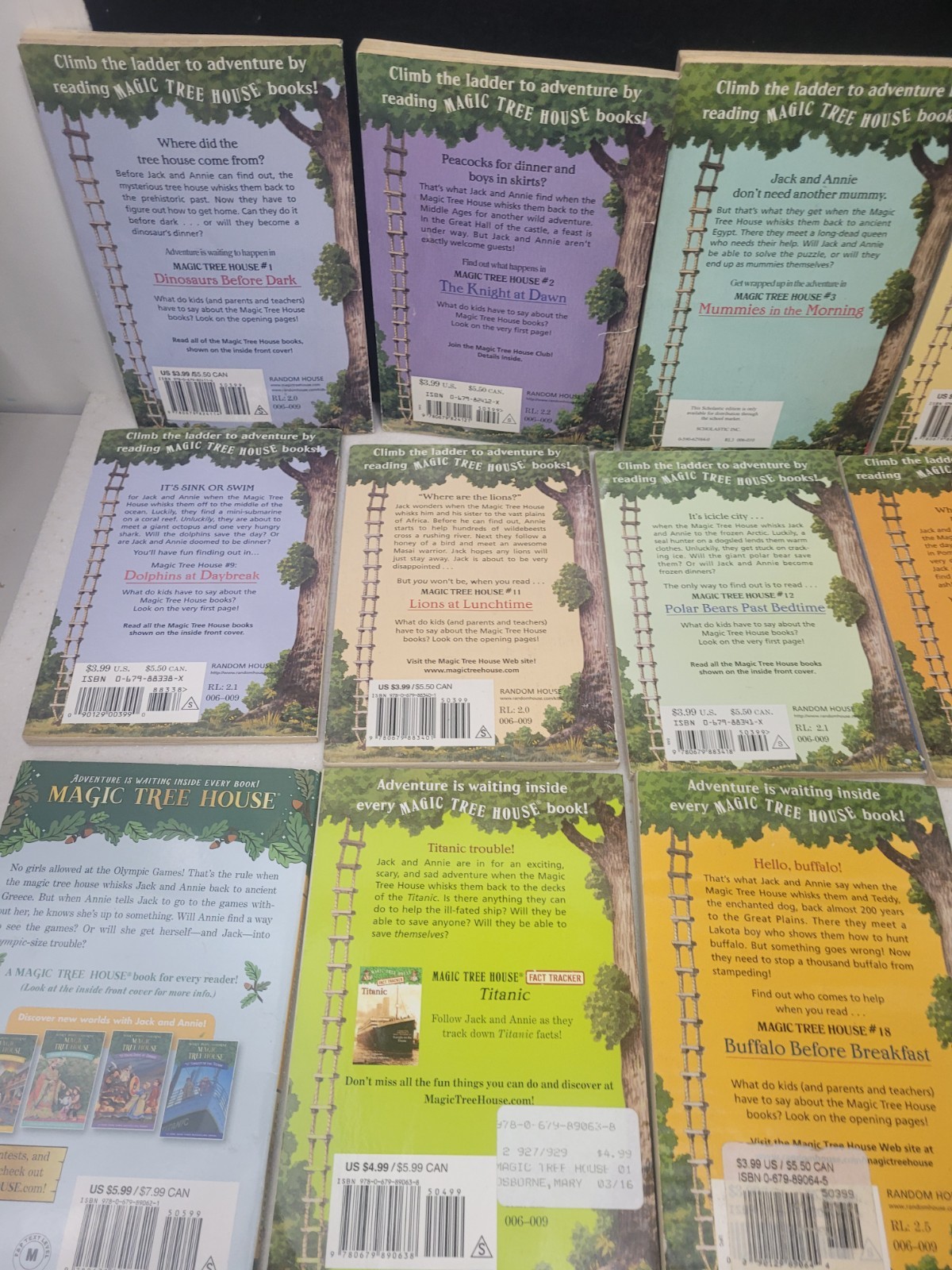 Magic Tree House Paperback Lot of 23 (Various One Duplicate) See Description!