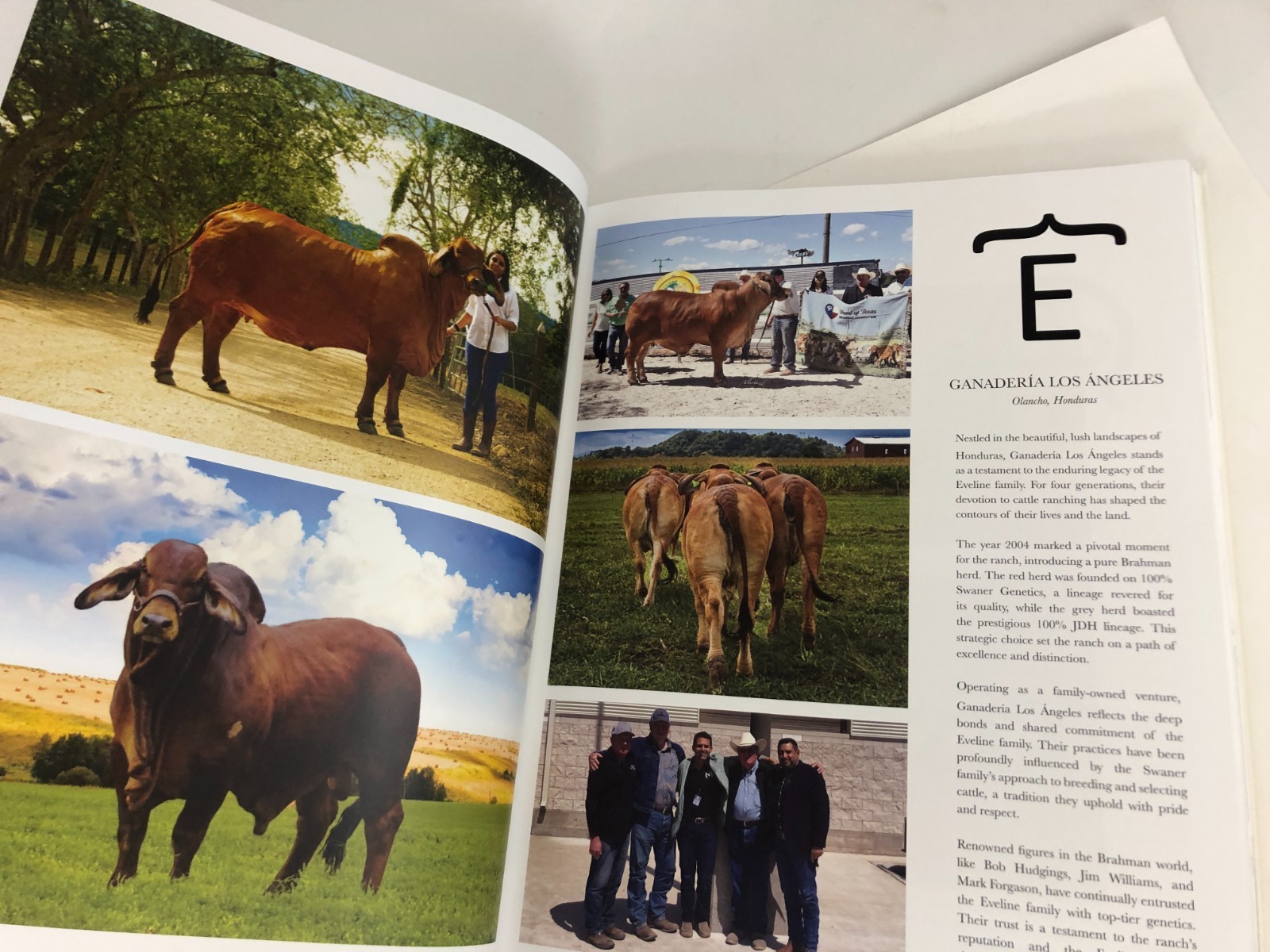 hardcover book – 100 Years of American Brahman Breeders Association 1924-2024