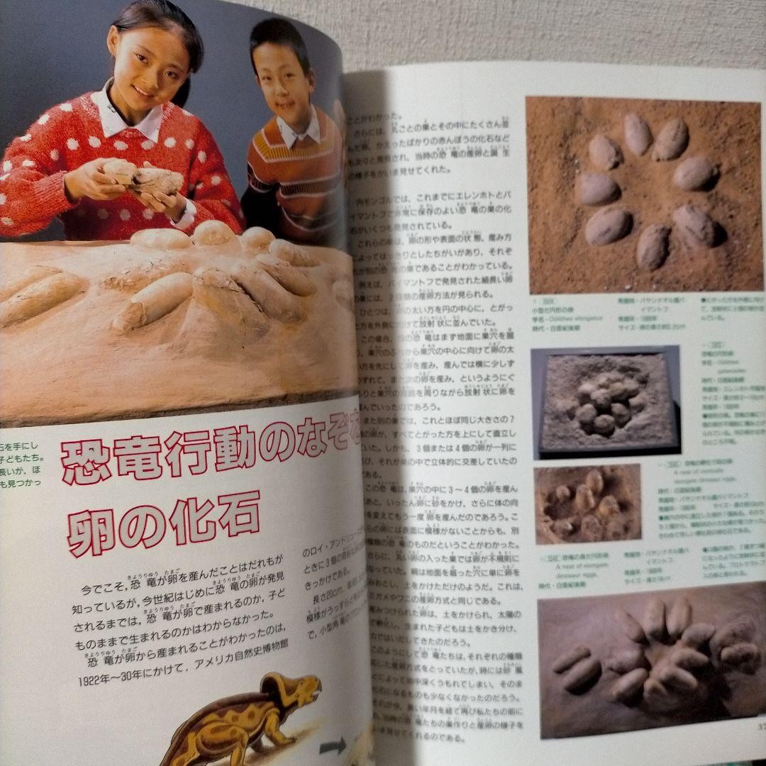 Official Guide Book Dinosaur Expo Fossils Photos China 21cm