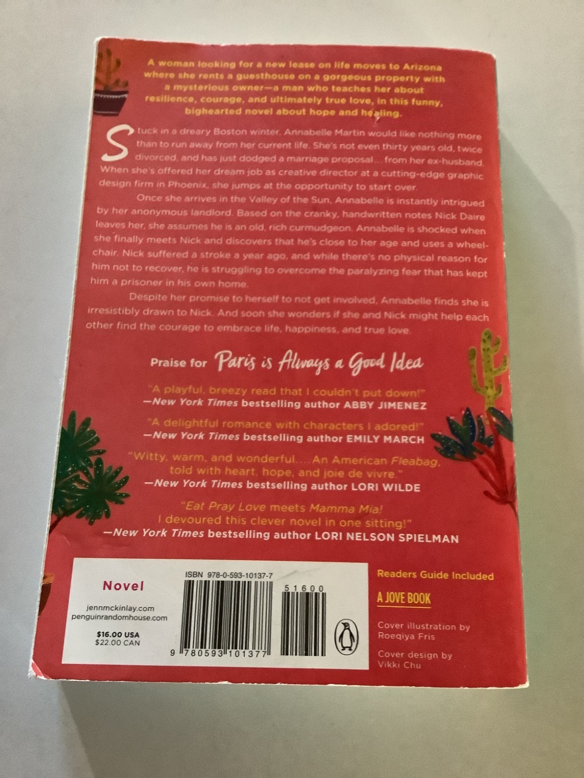 Jenn McKinlay books 3 standalone, 2 Cupcake Bakery Mystery, 3 Bluff Point