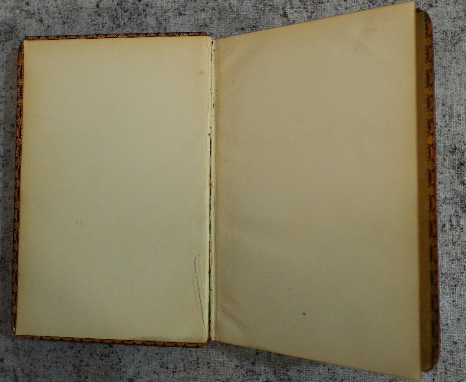 The Household of Sir Thomas More, 1896 Illlustrated, Fine Binding, Gilt Pages