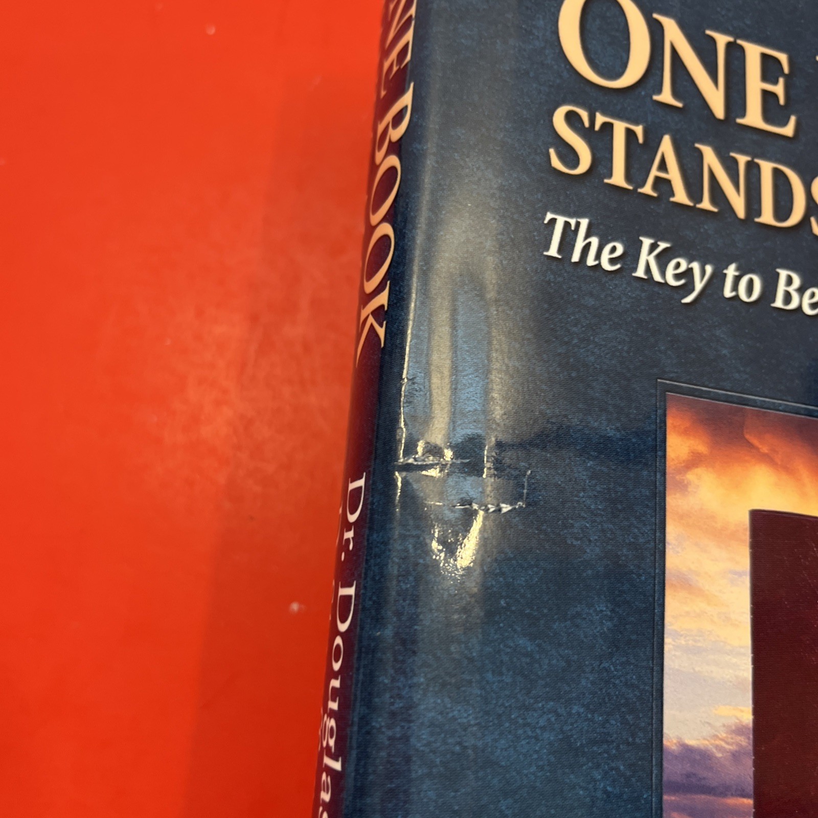 One Book Stands Alone Douglas D. Stauffer Signed Hardcover