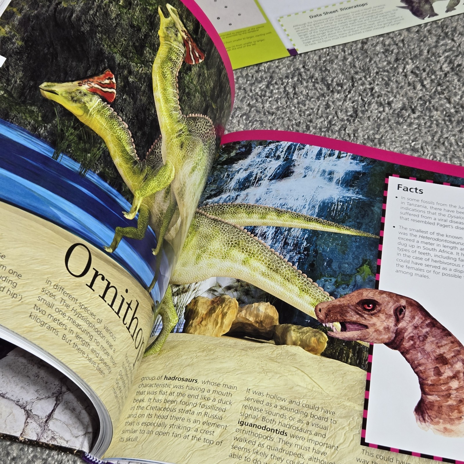 NEW Incredible Dinosaurs Book By Safeliz Educational Includes Cut Outs Reading