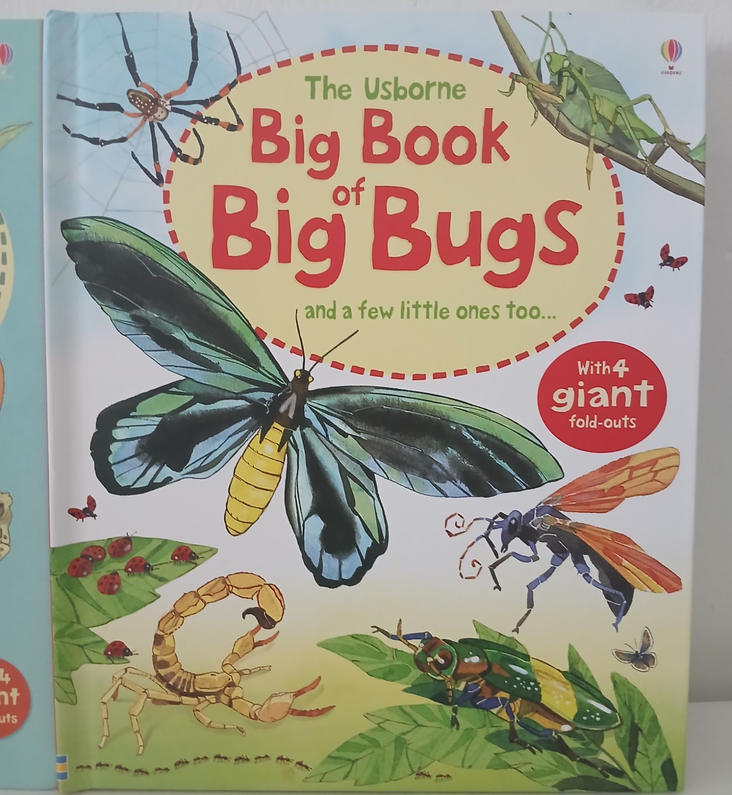 Usborne Big Book Of Dinosaurs & Bugs STEM Learning Fold-Out Pages Home School