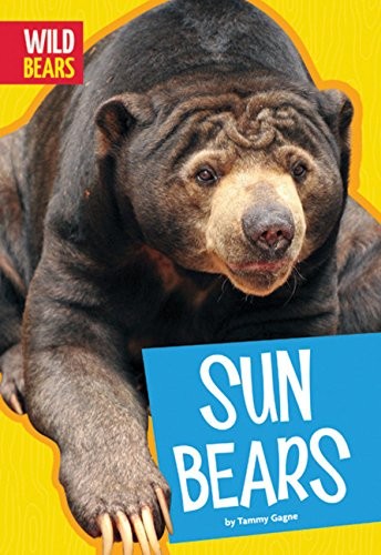 Amicus Ink 34233 Sun Bears Wild Bears