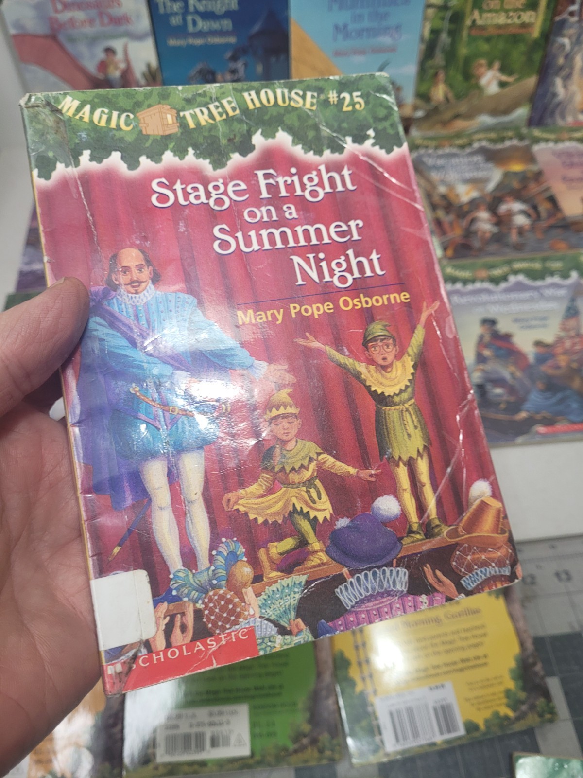 Magic Tree House Paperback Lot of 23 (Various One Duplicate) See Description!