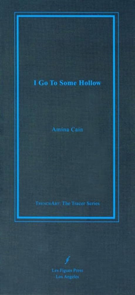 I Go To Some Hollow by Amina Cain, Trade Paperback 2009 Les Figues Press Fiction