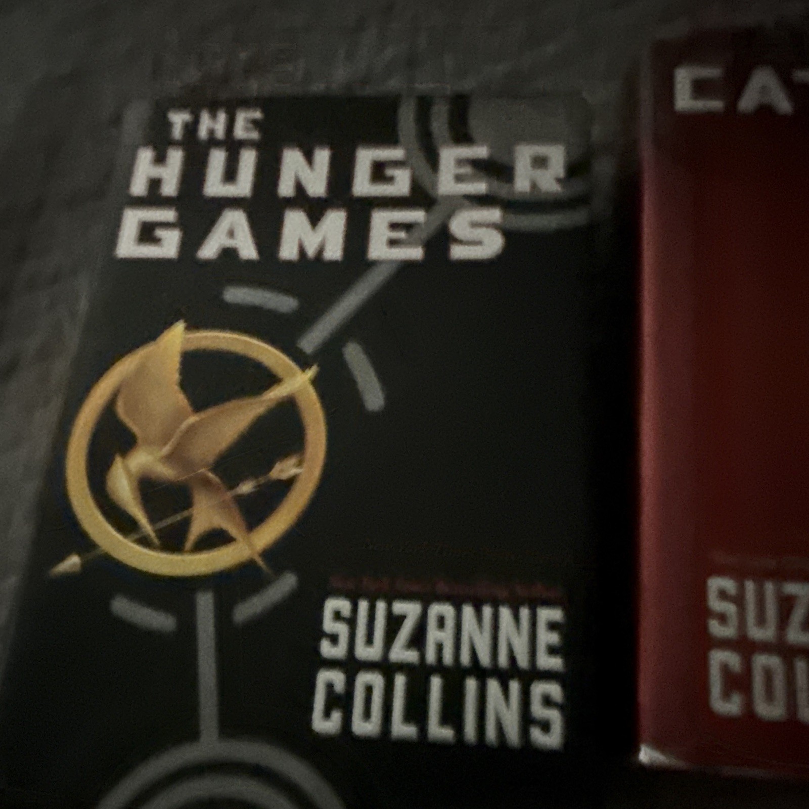 The Hunger Games Paperback Novel – Suzanne Collins YA Dystopian Fiction Series