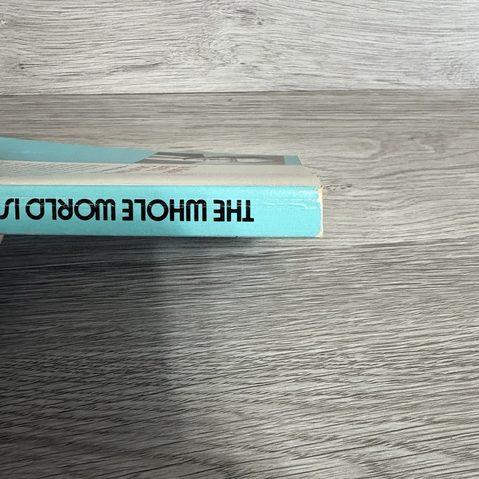 The Whole World Is Out Or Busy Irwin B Meisel 1986 First Ed 2nd Printing PB Book