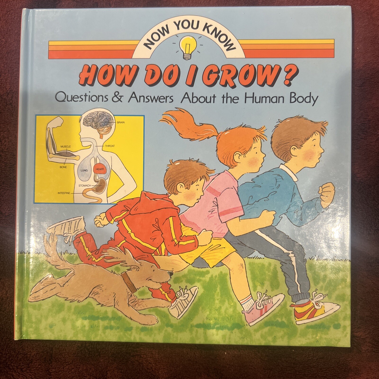 Now You Know Ser.: How Do I Grow? by Robert Carola (1990, Hardcover)