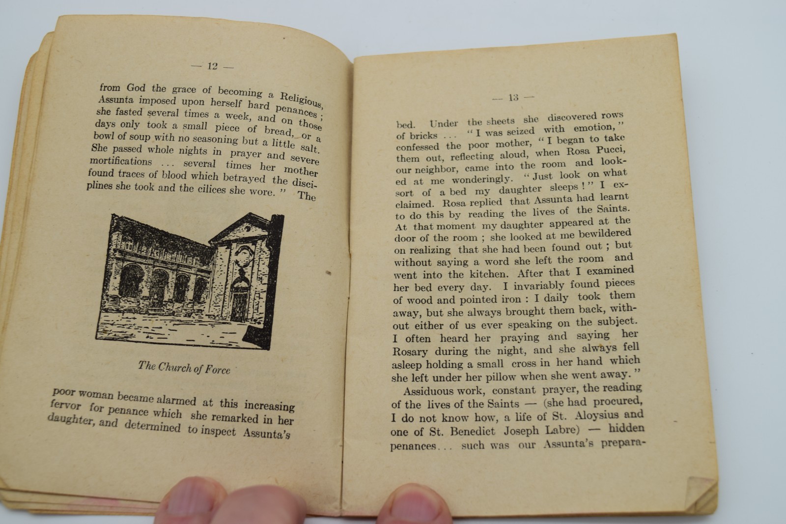 A Seraphic Flower Sister Maria Assunta Franciscan Missionary 1923 62 Pages