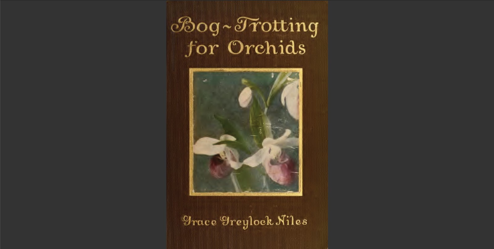 Bog-trotting for orchids by Niles, Grace Greylock 1904 Reprint